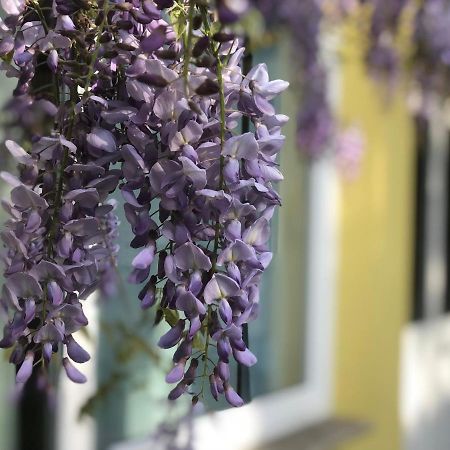 Loft Sottolalbero Leilighet Milano Eksteriør bilde